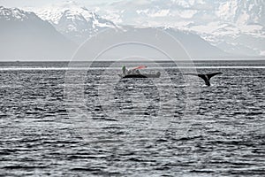 An abstraction of the landscape of the Glacier Bay with the Fluke of an Humpback and a little boat - Alaska