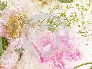 Abstraction with pink frozen flowers