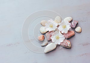 Abstraction of pink stones and flowers on a gray background with space for text