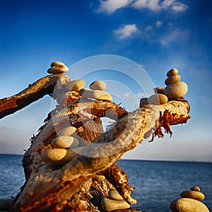 Abstraction by the sea, consisting of stones and branches.