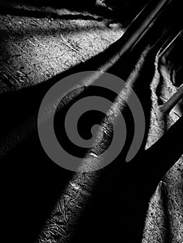 Abstraction in the woods, a play of light and shadow I.