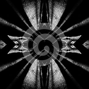 Abstraction in the woods, a play of light and shadow II.