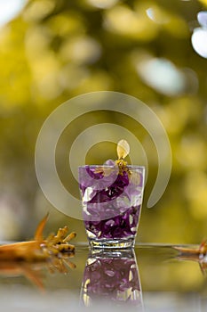 Abstractive organic close up glass of purple colour of flowers