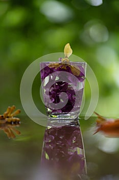 Abstractive organic close up glass of purple colour of flowers