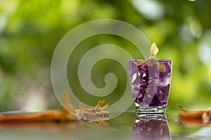 Abstractive organic close up glass of purple colour of flowers