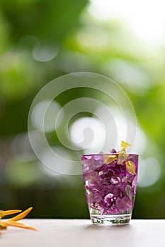 Abstractive organic close up glass of purple colour of flowers