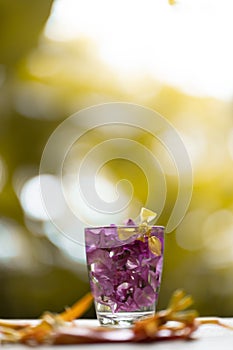 Abstractive organic close up glass of purple colour of flowers