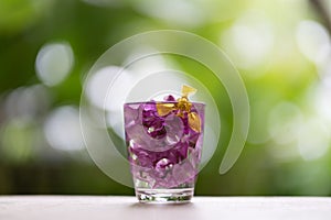 Abstractive organic close up glass of purple colour of flowers