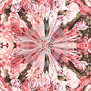 Abstracts Pink White Roses Art