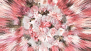 Abstracts Pink White Roses Art