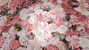 Abstracts Pink White Roses Art