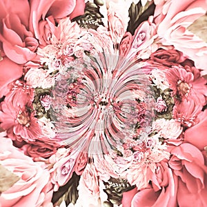 Abstracts Pink White Roses Art