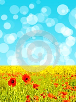 Abstrakt background with tulips and crocuses for greeting with a