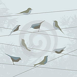 Abstraxt background with birds