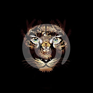 Abstrect tiger face