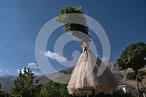 Absurd Wedding Dress on tree