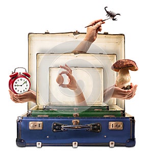 Absurde vintage suitcase on white background