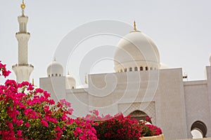 Abu Dhabi Sheikh Zayed White Mosque