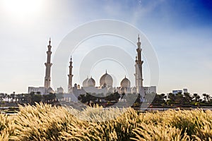 Abu Dhabi, UAE - 11.27.2022 - View of a Sheikh Zayed grand mosque, largest mosque in the country. Religion