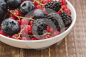 abundance of berries in a white bowl/ abundance of berries in a white bowl on a wooden background. Close up