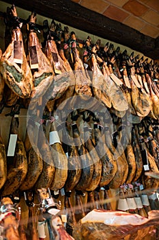 Abundance of dry-cured pig's legs in spanish jamoneria