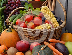 Abundance of fruits and vegetables with basket