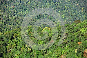 The abundance of Kaeng Krachan forest