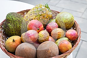 An Abundance of Tropical Fruit