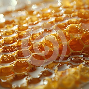 Abundant golden honey.