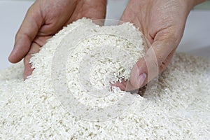 Abundant rice supply photo