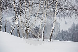 An abundant snowfall in the Romanian Carpathians in the village of Sirnea, Brasov. Real winter with snow in the country