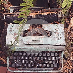 abundant typewriter