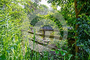 Abundant wild vegetation and green foliage with an old wooden pedestrian bridge in background