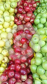 Diverse apples color photo