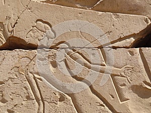 Abydos, one of the oldest cities of ancient Egypt Presenting the captives