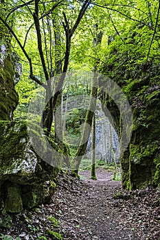 The abyss of Silicka ladnica, National Park of Slovak Karst, Slovakia