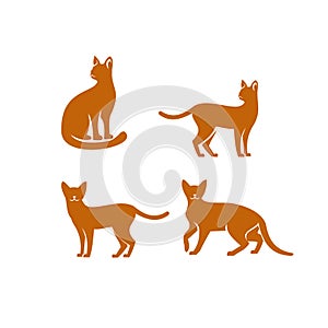 Abyssinian cat logo icon designs