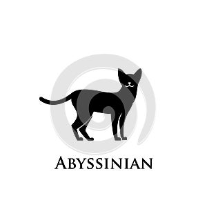 Abyssinian cat logo icon designs vector