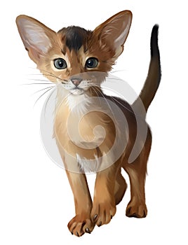 The Abyssinian kitten. Watercolor