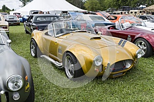 Ac cobra