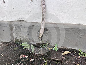 AC drain line that has not been cleaned photo