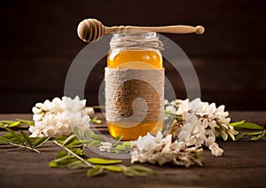 Acacia honey and flowering acacia