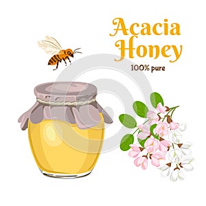 Acacia honey in a glass jar, a bee and a branch of blooming acacia isolated on a white background. Vector illustration