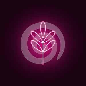 acacia icon. Elements of leaves and flowers in neon style icons. Simple icon for websites, web design, mobile app, info graphics