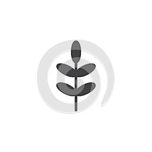 Acacia leaf vector icon