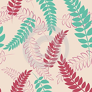 Acacia leaves seamless pattern on pink background