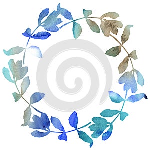 Acacia leaves wreath in a watercolor style.