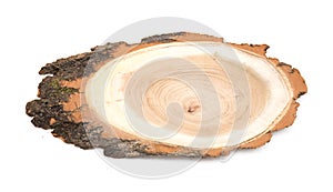 Acacia - A slice of wood representing profile of cut tree. oak