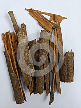 Acacia tree bark. Dalchini.