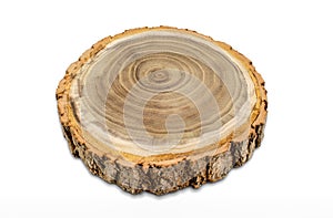 Acacia tree cross section. Sliced tree trunk. Close-up wood texture.